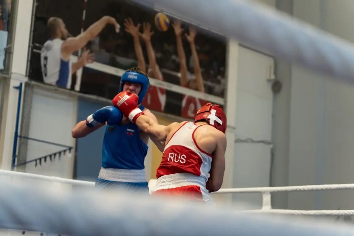 Первенство ЦФО Росии по боксу