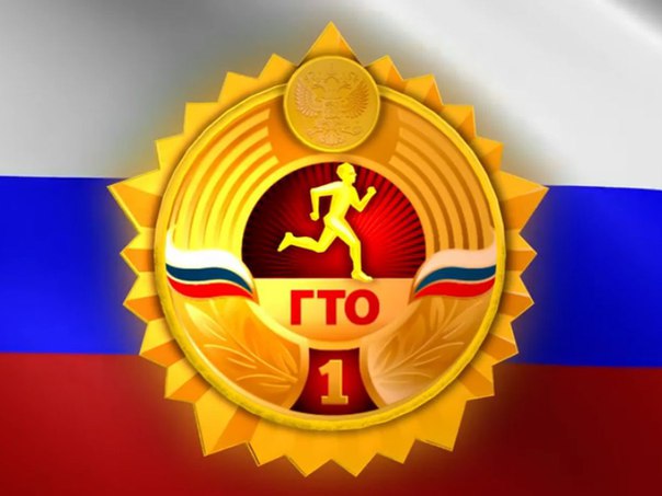 Готов к труду и обороне