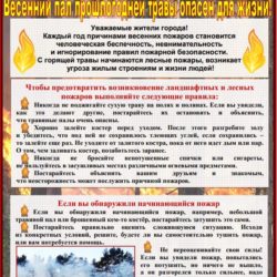 Ландшафтные пожары