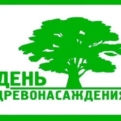 Впервые такой день отметили в Ростове-на-Дону ещё в 1910 году.