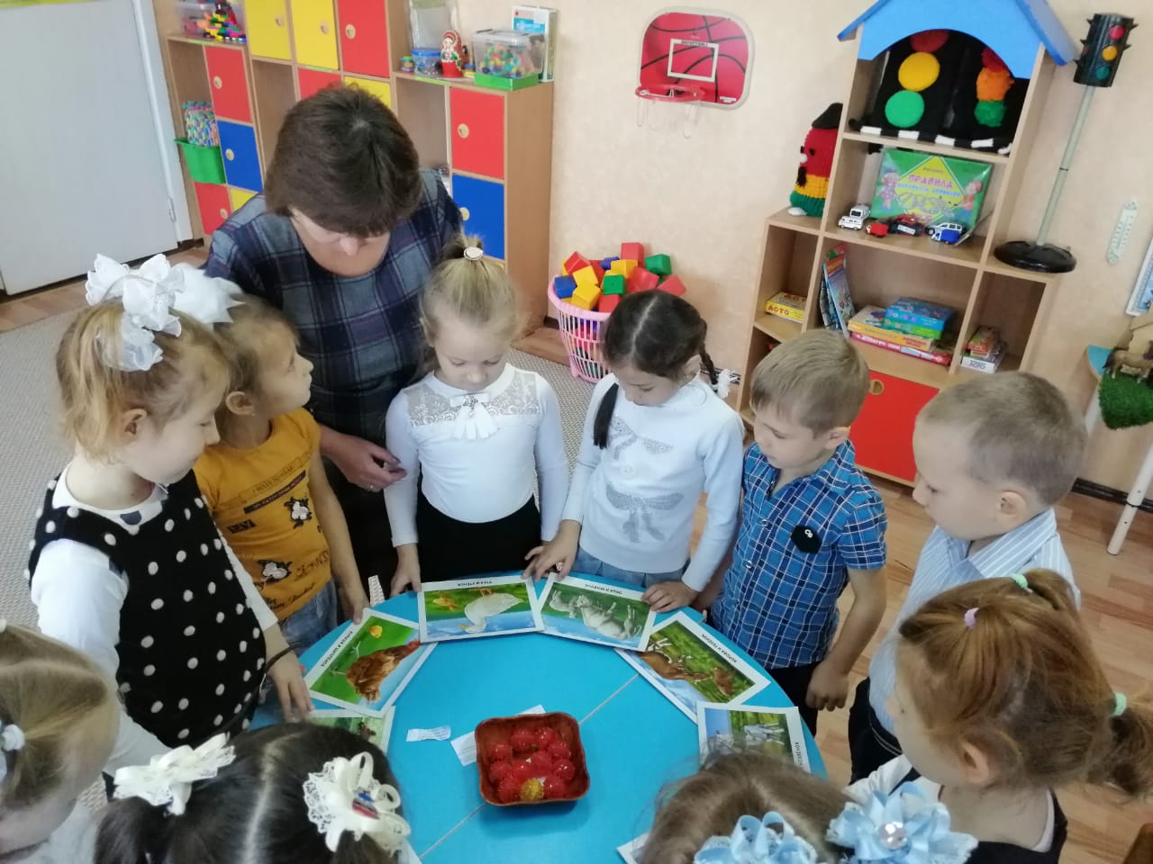 IMG-20191117-WA0020