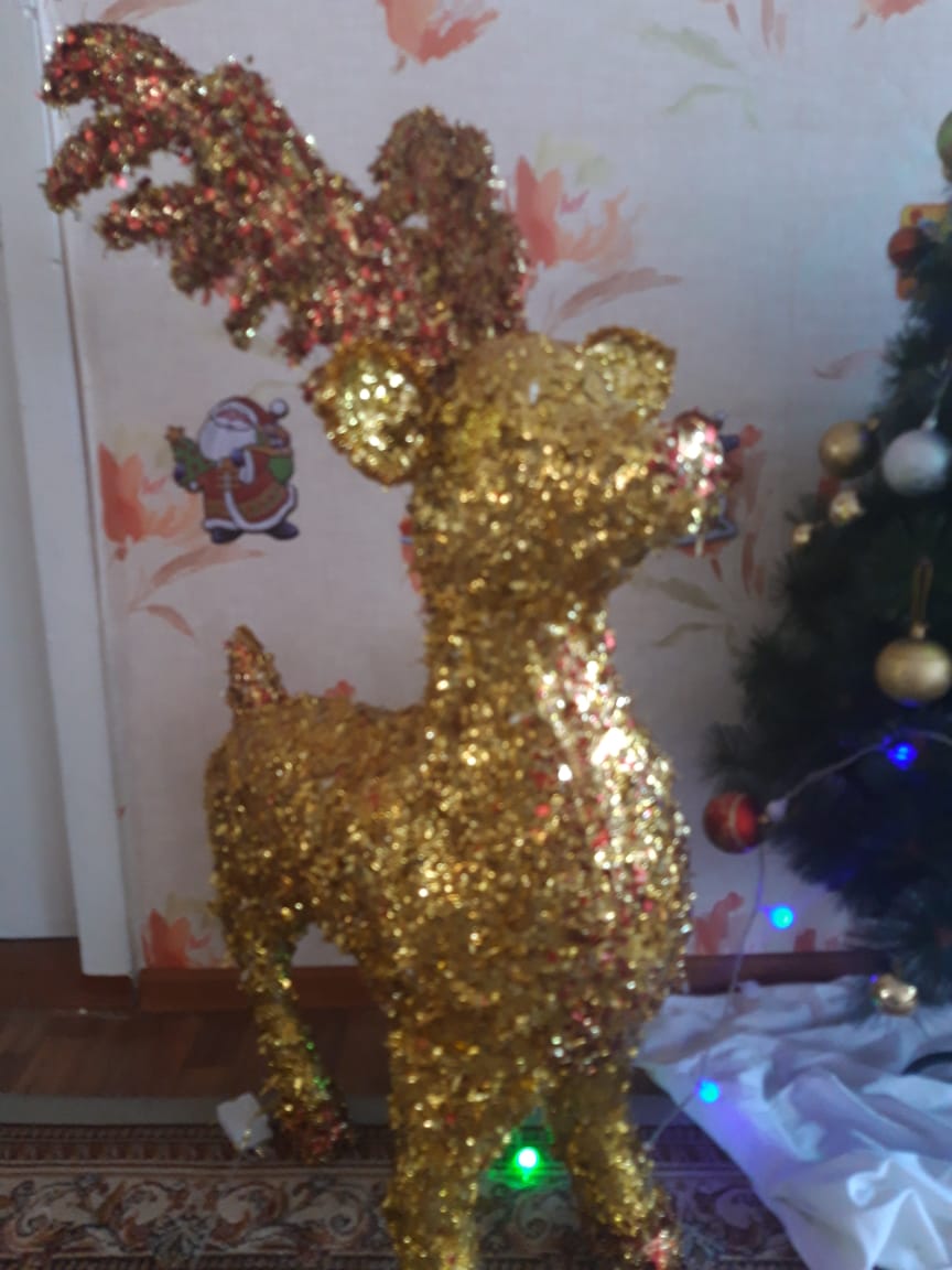 IMG-20191223-WA0025