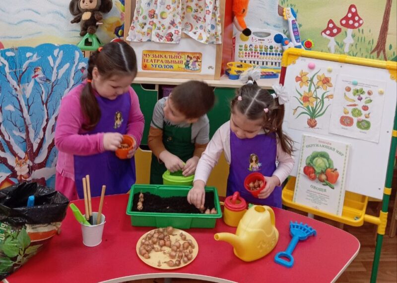 Наши малыши из группы «Непоседы» приняли участие в экологическом проекте «Огород на окошке»! Они учились заботиться о природе — и делали это с радостью!