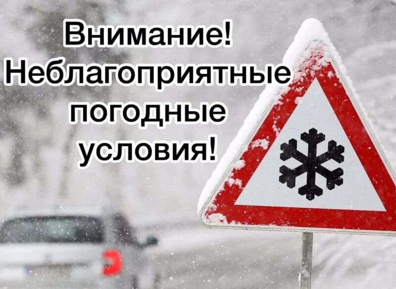 ‼️Уважаемые родители обучающихся общеобразовательных организаций и воспитанников детских садов!