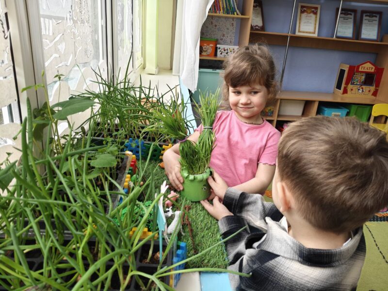 Ребята группы «Фантазеры» стали участниками ежегодного экологического проекта «Огород на окошке»!