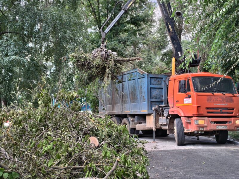 Выражаем искреннюю благодарность за оперативную помощь в ликвидации последствий стихии на территории детского сада