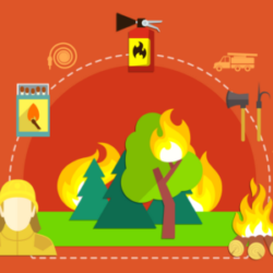 Как вести себя в пожароопасный период?