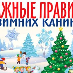 Памятка родителям! «Безопасность детей в новогодние праздники и каникулы»!