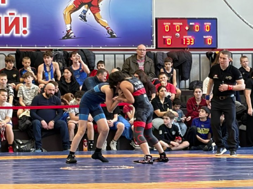 Открытое первенство по греко-римской борьбе, среди юношей 2012-2013 гг.р., памяти ЗТР Онищенко А.П.