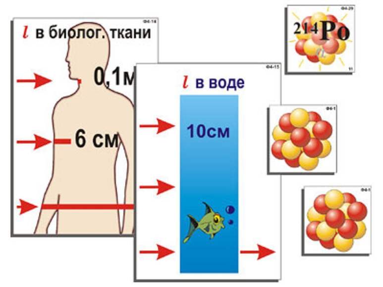 Модель-аппликация
"Явление радиоактивности" (ламинированная)