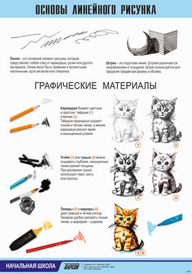 Таблица демонстрационная "Основы линейного рисунка" (винил 100х140)