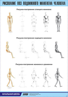 Таблица демонстрационная "Рисование поз подвижного манекена человека" (винил 100х140)