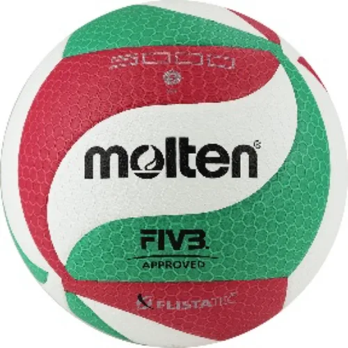 Мяч волейбольный MOLTEN V5M5000