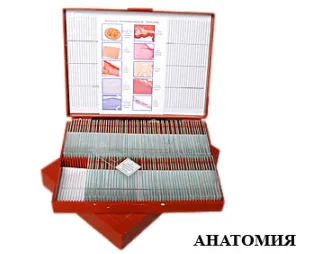 Комплект микропрепаратов "Анатомия и физиология" (базовый)