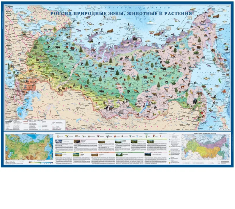 Россия. Природные зоны. Животные и растения. Карта настенная, ламинированная, масштаб 1: 6 200 000, размер 1,43 х 1.02 м.