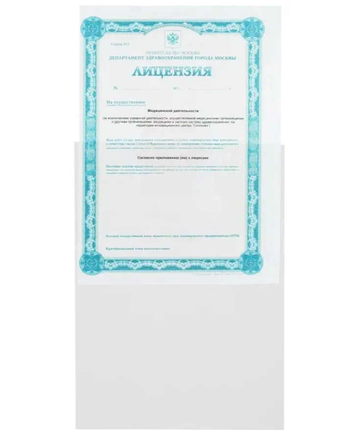 Attache Файл A4 (21 × 29.7 см) 100 шт., 30 мкм