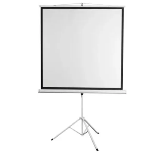 Экран DIGIS Kontur-D DSKD-1106, 200х200 см, 1:1, напольный