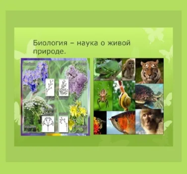 Комплект коллекций по биологии (19 коллекций)