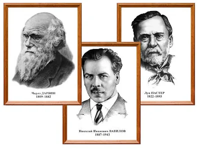 Портреты выдающихся биологов" (деревянная рамка, под стеклом, комплект 8 шт.)