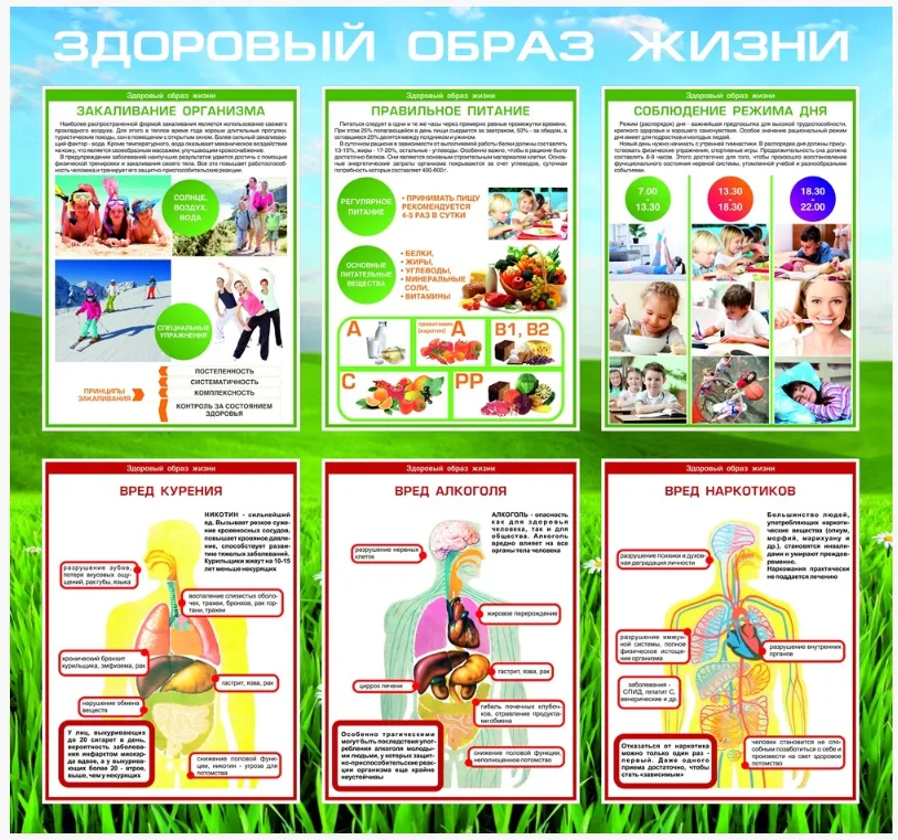 Стенд "здоровый образ жизни" размер: (В)1200х(Ш)1600