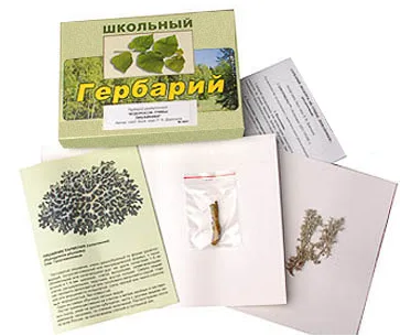 Гербарий "Водоросли. Грибы. Лишайники" (раздаточный).