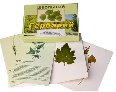 Гербарий "Систематика растений. Высшие споровые и семенные" (раздаточный).