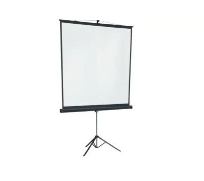 Экран на штативе Lumien Master View