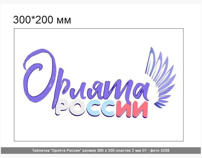 Табличка "Орлята России" размер 300 х 200 пластик 2 мм