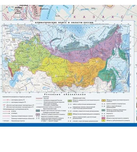 Природные зоны России, животные растения( новые границы)