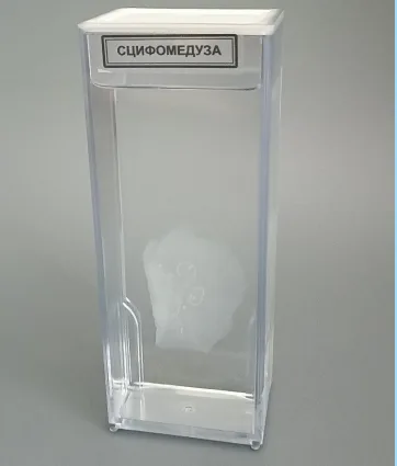 Влажный препарат "Сцифомедуза"