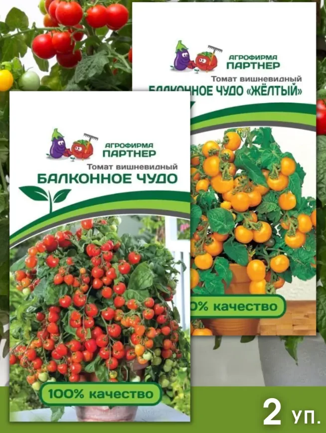 Семена Партнер томат балконное чудо