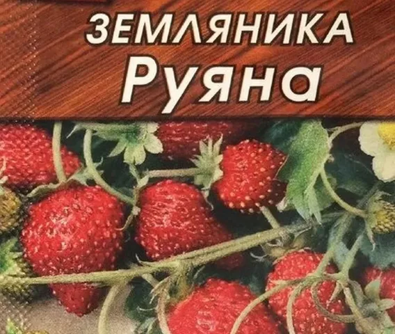 Земляника Руяна