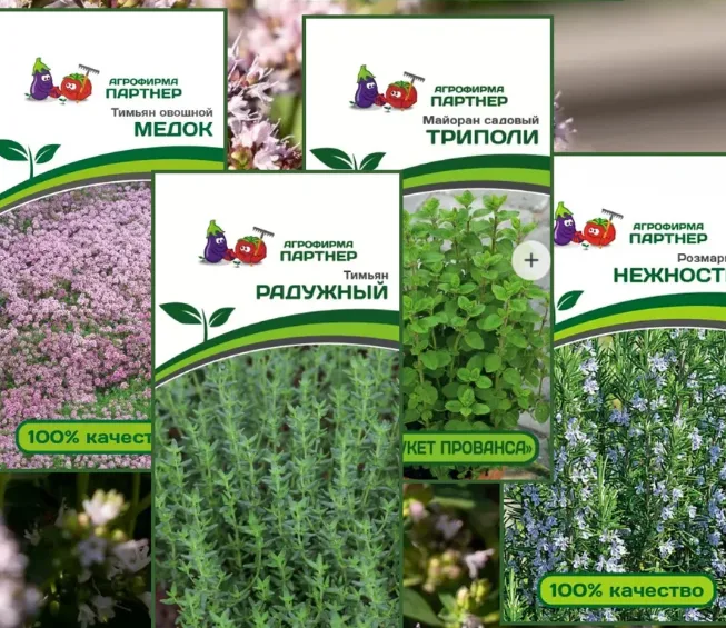 Семена пряных трав многолетних тимьян, розмарин, майоран