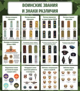 Стенд Воинские звания в вооруженных силах РФ 800 х 900 пластик 3мм