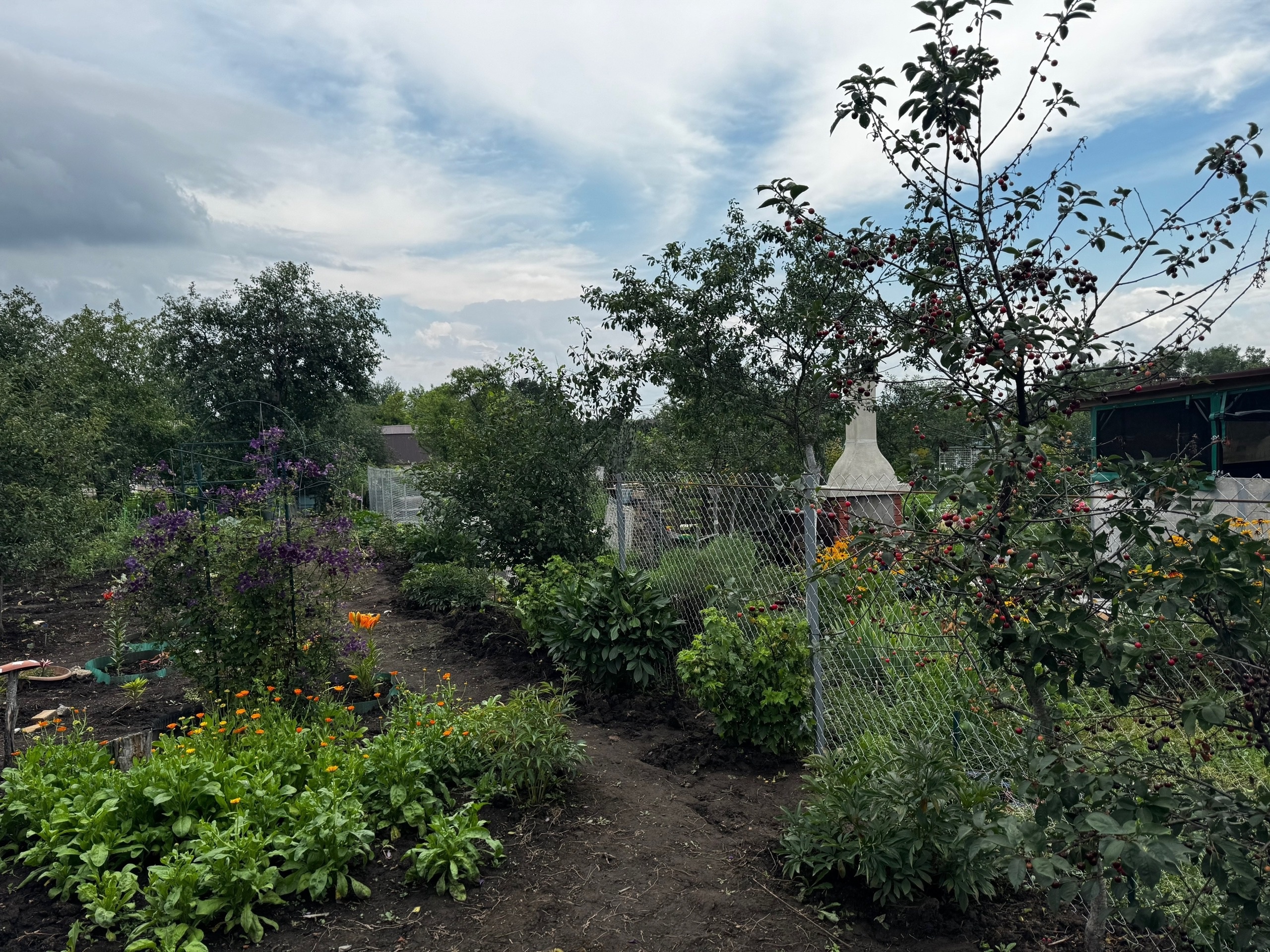 Забор из сетки-рабицы (оцинкованный) для дачного участка