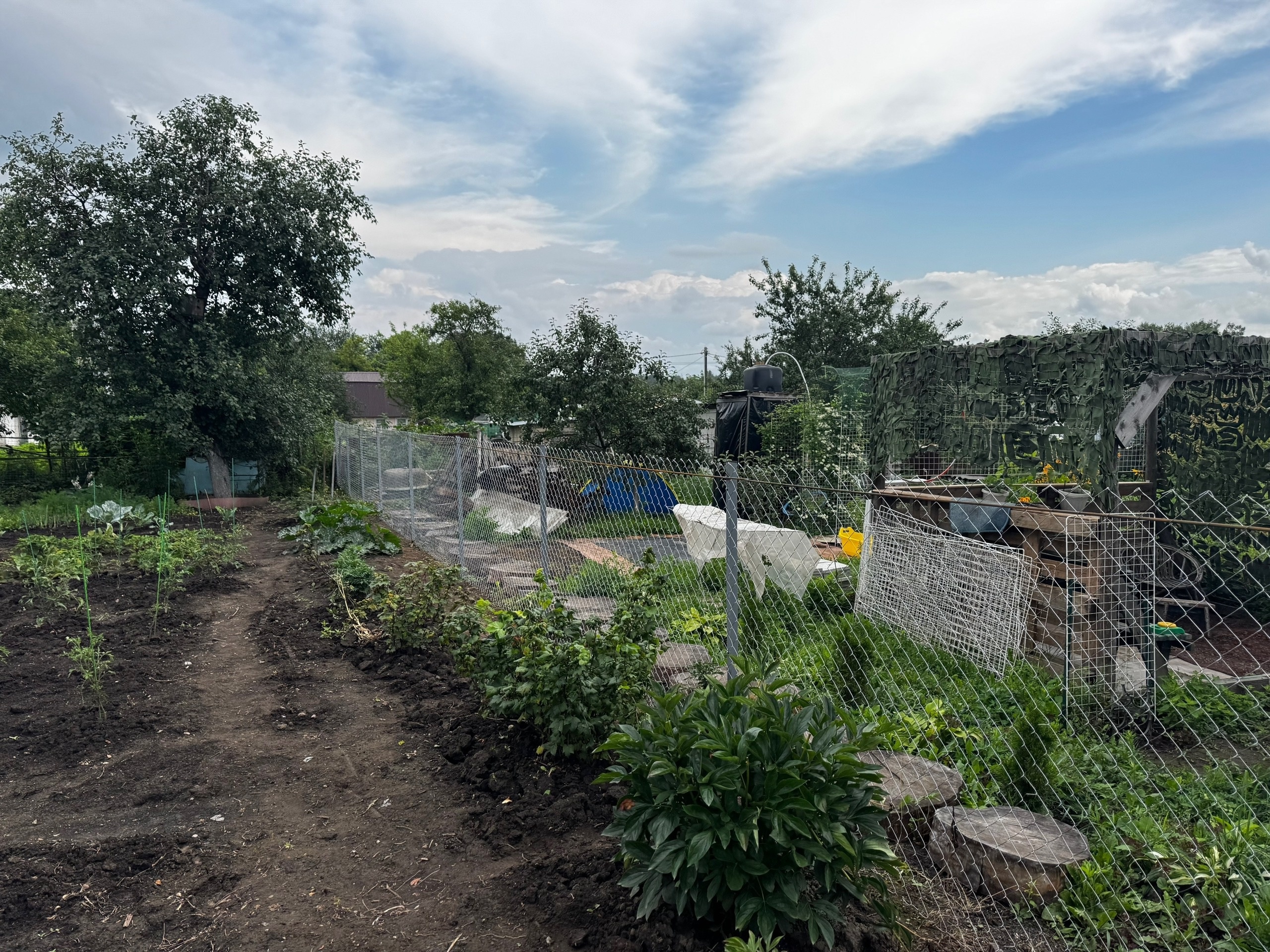 Забор из сетки-рабицы (оцинкованный) для дачного участка — фото 3