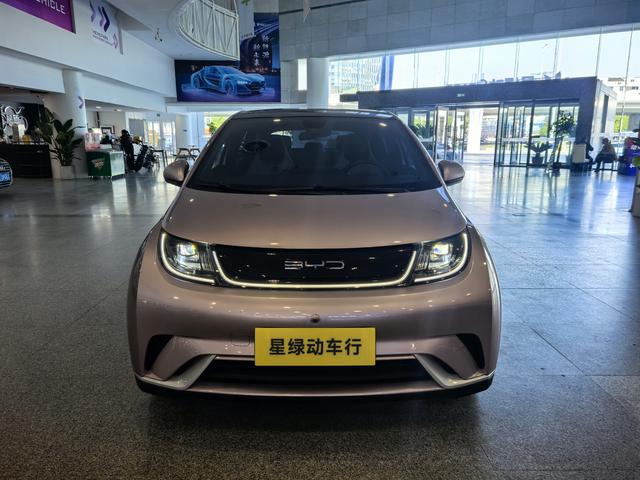 BYD Dolphin - фото 1