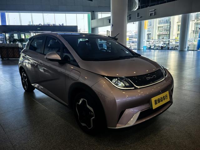 BYD Dolphin - фото 2