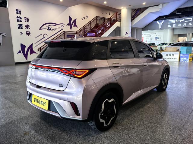 BYD Dolphin - фото 3