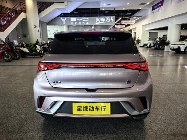 BYD Dolphin - фото 4
