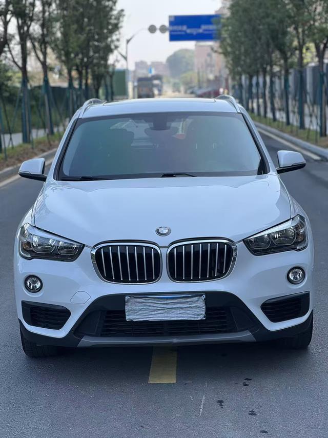 BMW X1 - фото 1