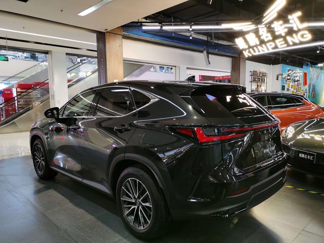 Lexus NX - фото 2