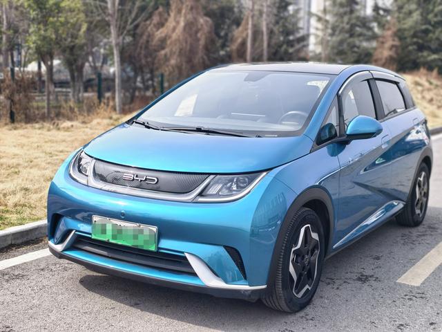 BYD Dolphin - фото 0