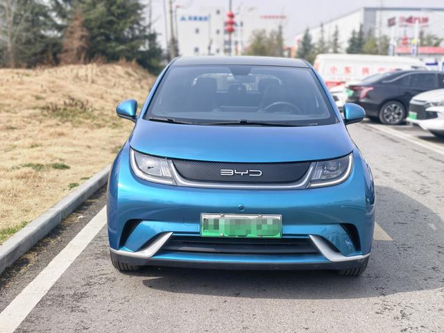 BYD Dolphin - фото 1
