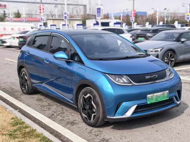 BYD Dolphin - фото 2