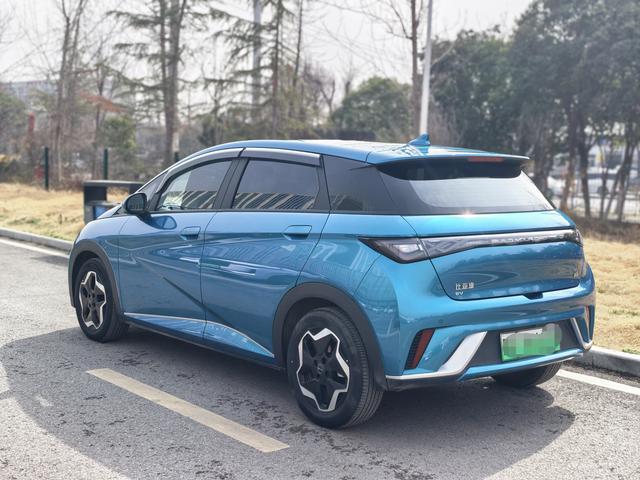 BYD Dolphin - фото 3
