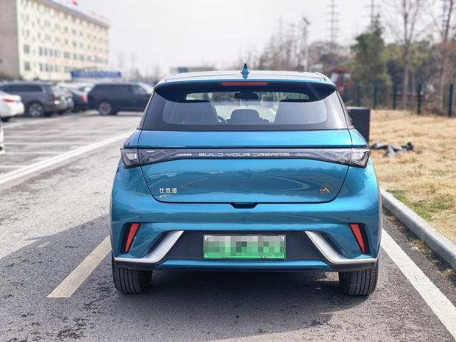 BYD Dolphin - фото 4