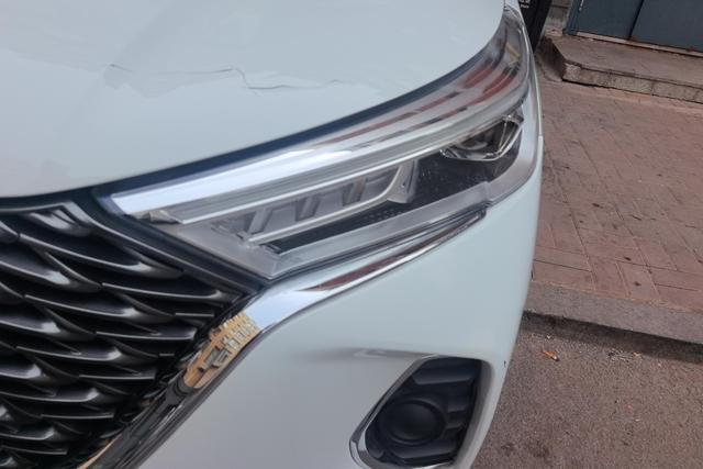 Haval M6 - фото 1