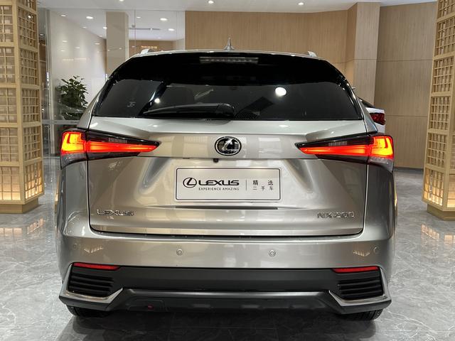 Lexus NX - фото 4