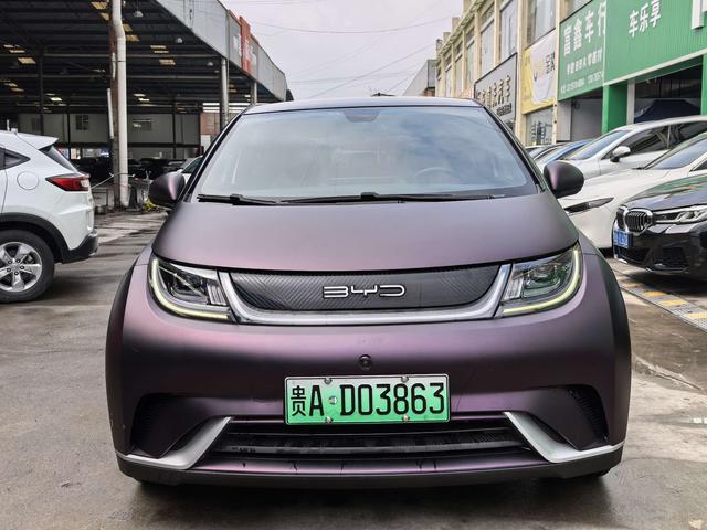 BYD Dolphin - фото 1